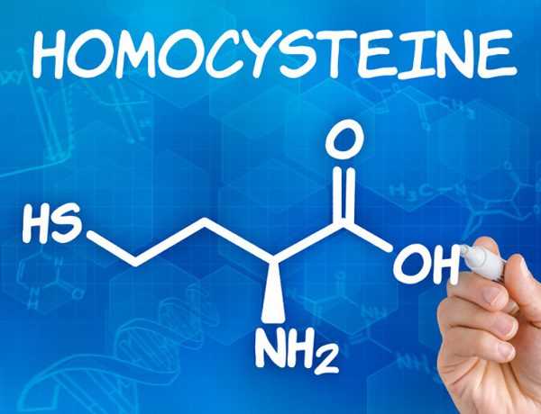 Гомоцистеин при планировании беременности – крайне важный анализ