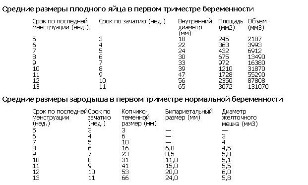 Размеры плодного яйца