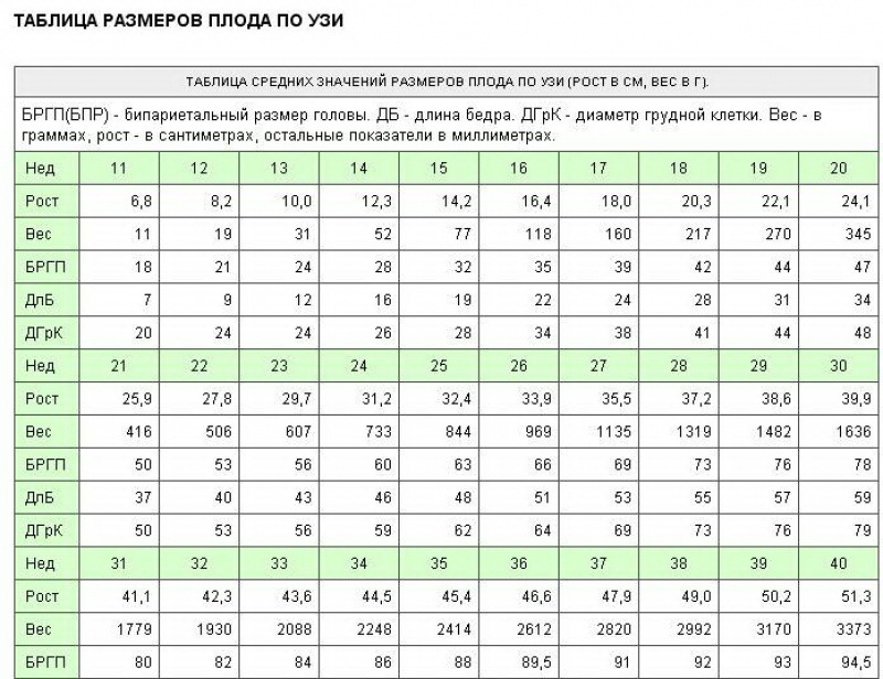 Таблица размеров плода узи