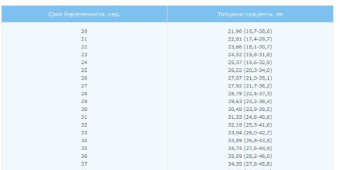 Нормы толщины плаценты