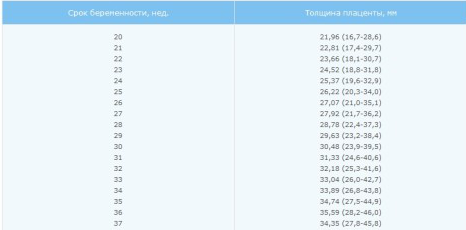 Срок беременности по неделям