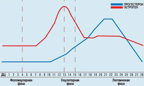 график нормы эстрогена