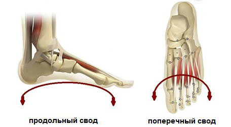 продольный и поперечный свод стопы