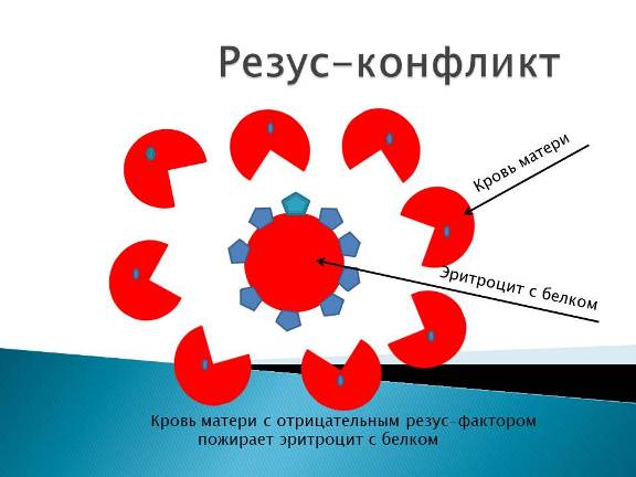 резус-конфликт