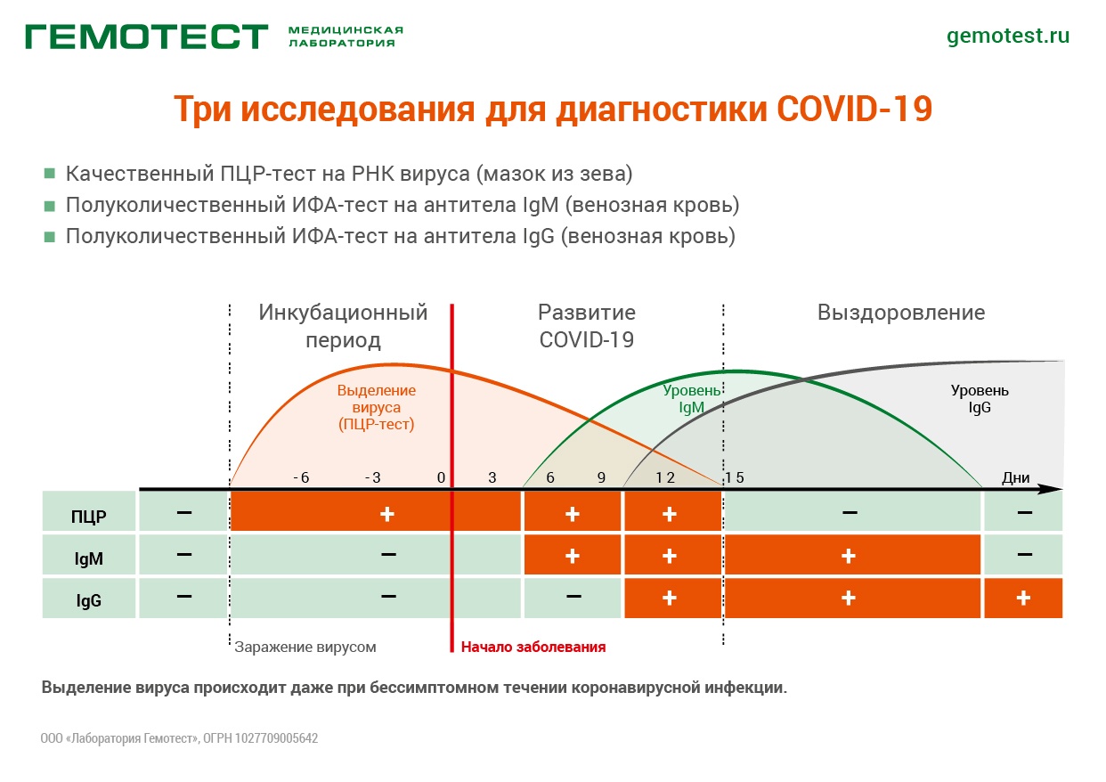 когда можно обнаружить вирус Sars-Cov-2