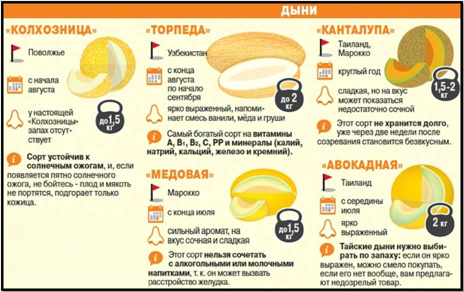 польза дыни по сортам